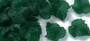 100 pack - Autumn Theme Transparent Frosted Acrylic Pendants, Maple Leaf, Dark Green, 24x22.5x3mm, Hole: 1mm