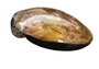 LAST STOCK: 1 x Large Foil Glass Pendant with Glass Bail, Yellow Gold approx 55mm x 55mm