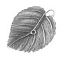 4 x Leaf Pendant 47mm * 35mm * 3mm Ant Silver