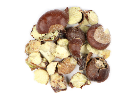 Horse Chestnut - Organic 1 oz