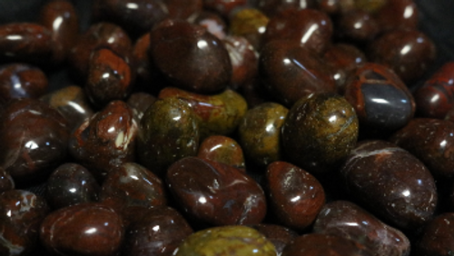 Red Petrified Wood Tumbled