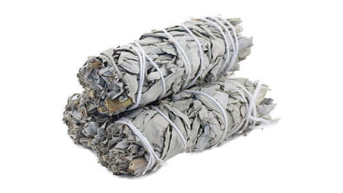 White Sage 3"-4"