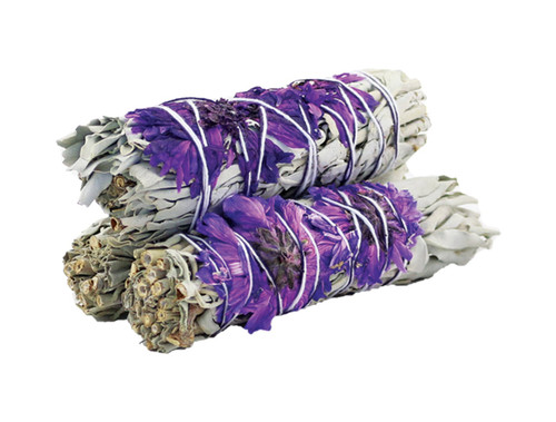 Purple Daze Sage 4"