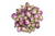 Rosebuds Whole - Organic .5oz