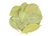Bay Leaf Whole - .25 oz