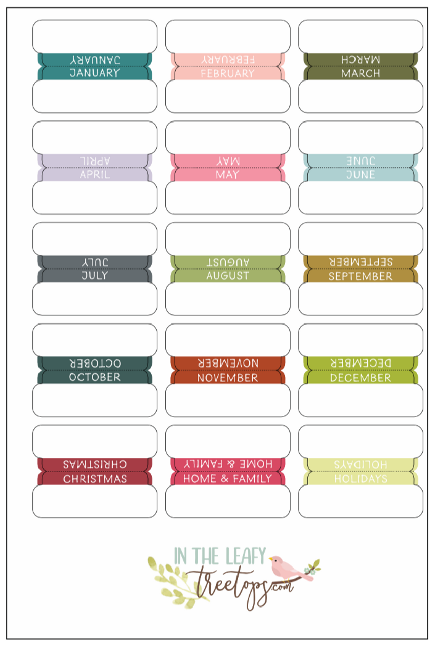 NOLITOY 5 Sets Account Monthly tabs for Planners Label Calendar Stickers  Label Sticker Adhesive Indexes Label Monthly Stickers for Planners