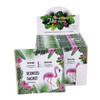 XB051D Hanging Fragrance Sachet (Box of 12) - Thyme & Ocean