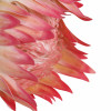 XSJ1B Artificial Protea