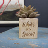 BPLANT2 Natural Wood Plant Holder Engraved - What's Up Succa