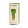 JY1008I Rose Cottage Essential Oils Box Of 12 - Lemongrass