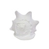 CONCH4XL Polyresin Extra Large White Shell