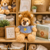 SK18830 Plush Soft Toy 30cm – Blue Striped Shirt Lion
