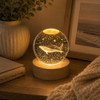 GD6D 3D Crystal LED Light Globe 6cm – Whale