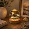 GD8E 3D Crystal LED Light Globe 8cm – Sea Turtle Family