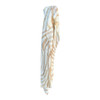 BY2601B Viscose Scarf – Taupe Zebra Print