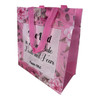 GB5014A Reusable Shopping Bag (Set of 12) – The Lord Is on My Side