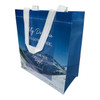 GB2016C Reusable Shopping Bag (Set of 12) – My Presence Will Go With You