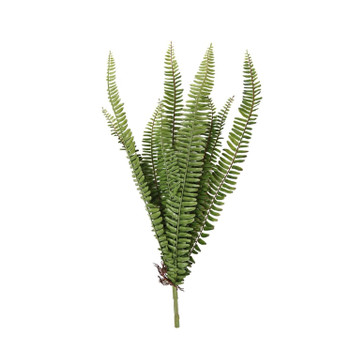 LJ4 Artificial Plant - Deep Green Narrow Sword Fern