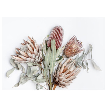 PVCPM28  PVC Placemat - King Protea & Eucalyptus