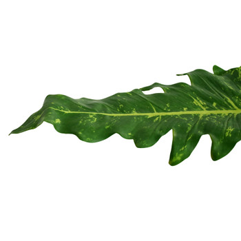 J7218 Artificial Leaf - Green Garden Croton