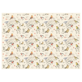 PLACEML250 Disposable Placemat - Small Birds