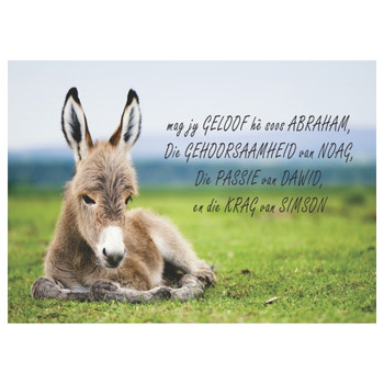 PLACEML251 Disposable Placemat - Krag Van Simson Donkey