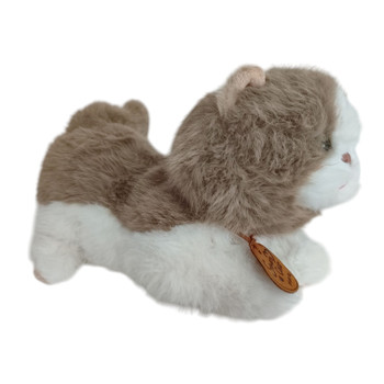 GZS01B Soft Toy - Brown And White Cat
