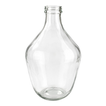 N8272 Glass Bottle Vase – Clear
