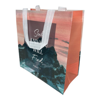 GB2016F Reusable Shopping Bag (Set of 12) – Seek & Find