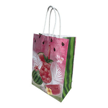 GB523D Gift Bag Set (12 Pieces) – Watermelon Summer Design