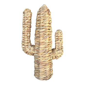 XY2508593 Desert Cactus Natural Woven Décor