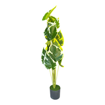 AT19374 Artificial Tree - Variegated Leaf Plant 80 cm