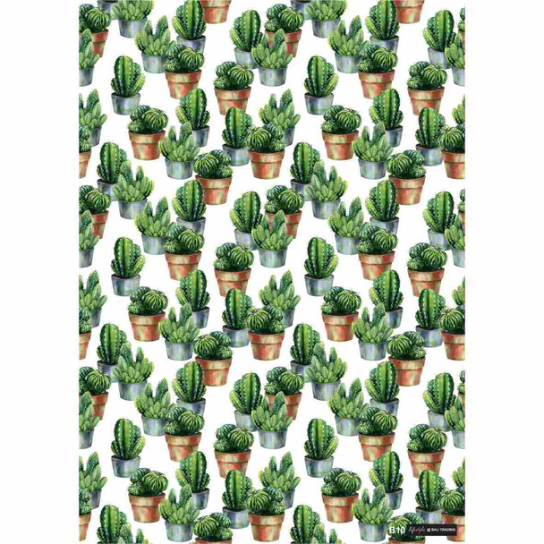 B10 Gift Wrap Paper Single Sheet 490mm x 690mm - Succulents