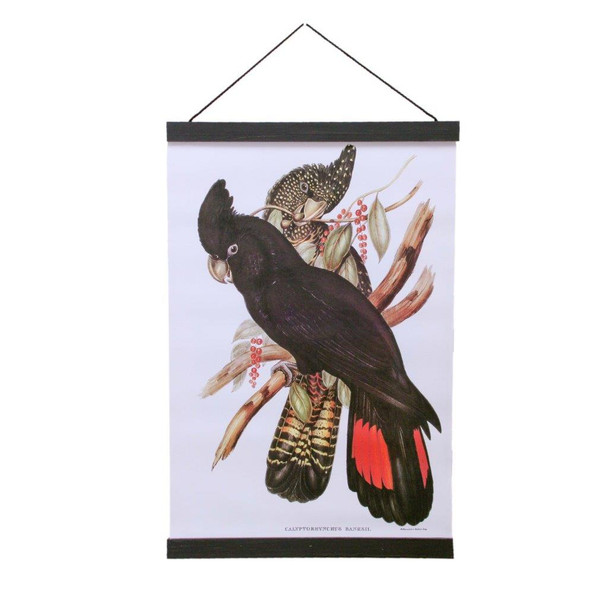 HCPL4 Hanging Canvas Print Large - Cockatoo