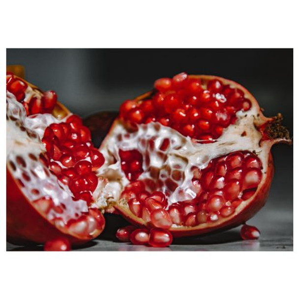 PLACEML89 Pack 24 Disposable Placemats - Half Pomegranates
