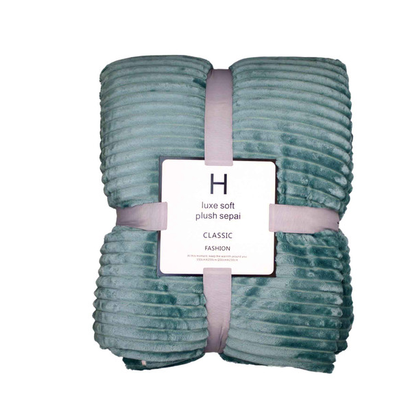 BD2A H Luxe Soft Plush Mint Blanket
