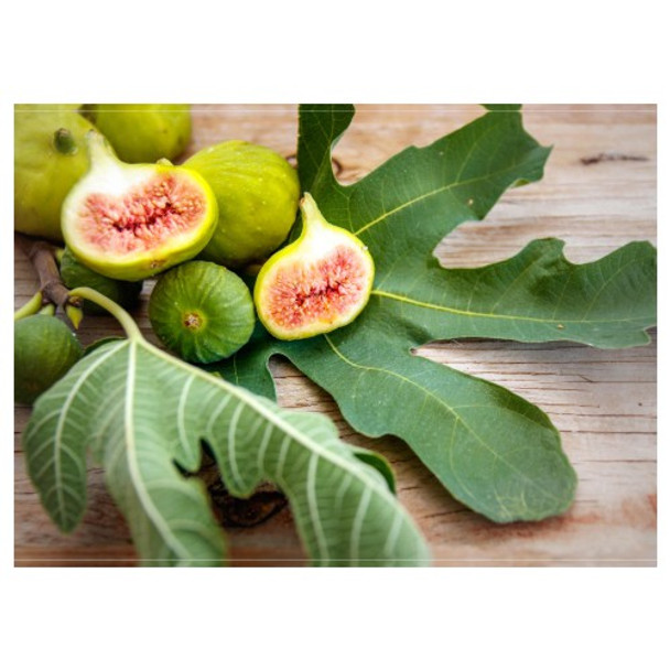 PLACEML148 Disposable Placemats - Green Figs and Leaves