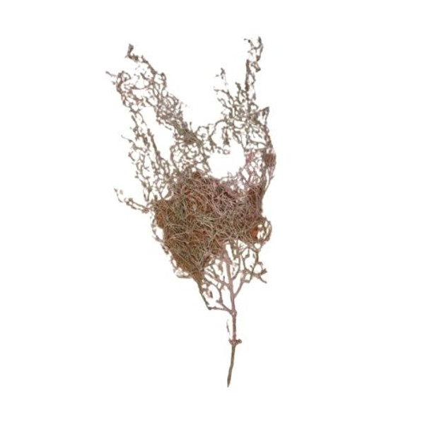 AB8599A Artificial Plant - Spanish Moss