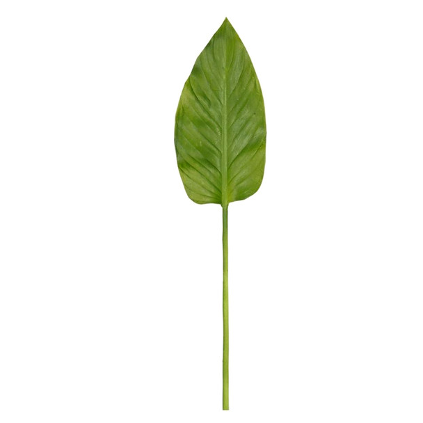 PL015178 Artificial Leaf - Water Arum Single Leaf