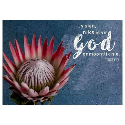 PVCPM16 PVC Placemat - Protea Lukas 1:37