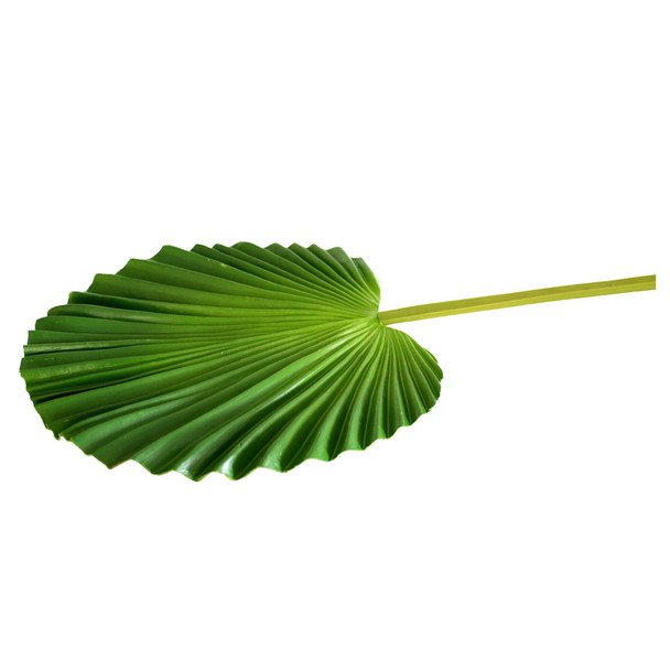7823 Artificial Leaf -Wavy Palm Leaf