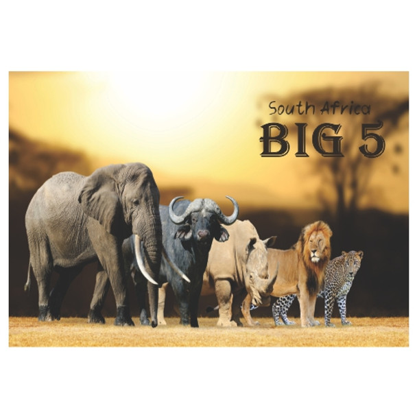 PVCPM42 PVC Placemat - South Africa Big 5