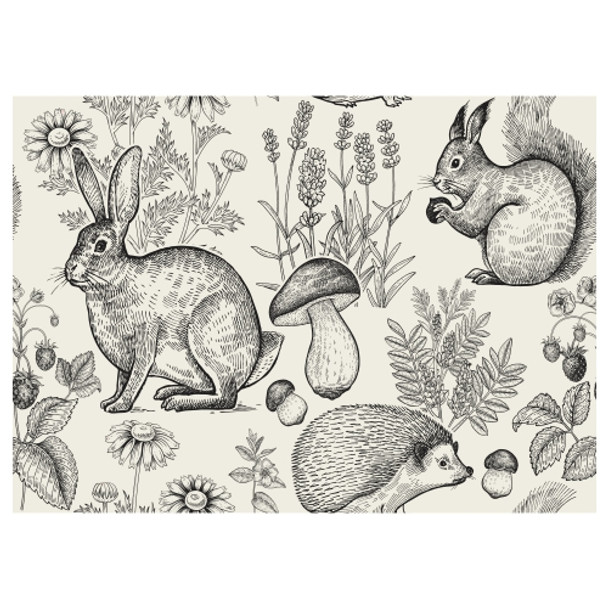 PLACEML241 Disposable Placemat - Black Forest Animal