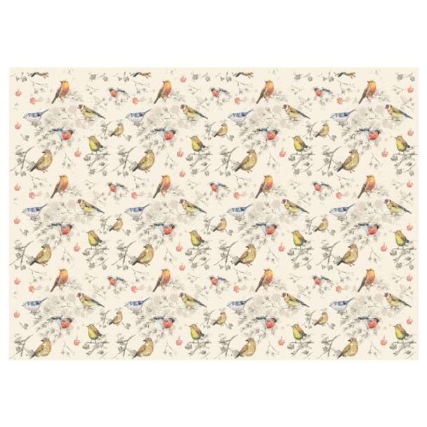 PLACEML250 Disposable Placemat - Small Birds
