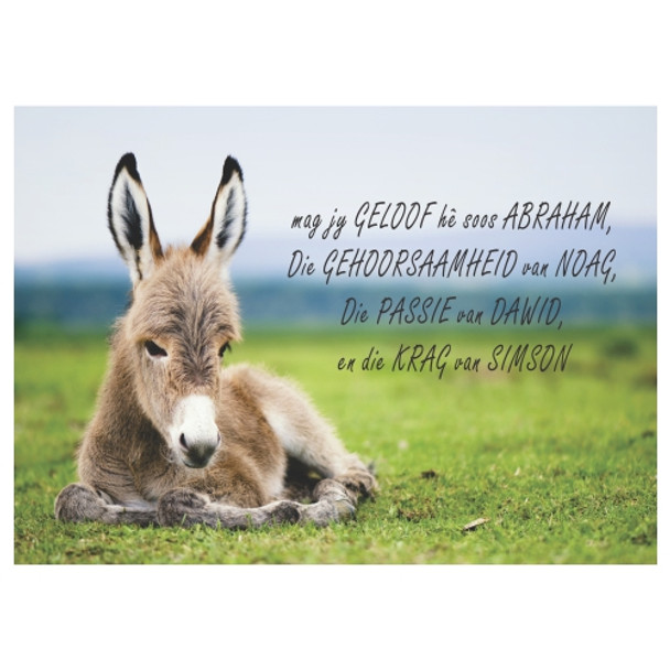 PLACEML251 Disposable Placemat - Krag Van Simson Donkey