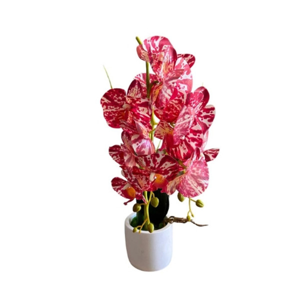 9901B Potted Waterfall Orchid In Pot - Red 46cm