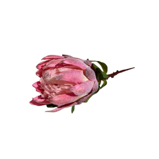 52527 Artificial Flower - Pink Protea 60cm