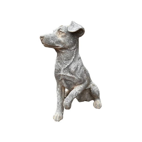 17465A866 Grey And White Dog Sitting Giving Paw