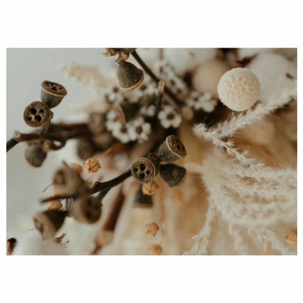 PLACEML327 Disposable Placemats - Cotton Dried Flowers
