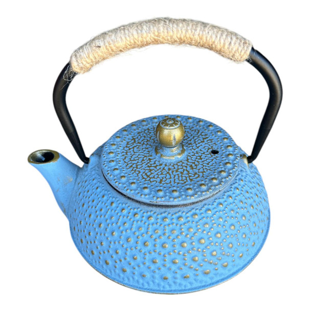 IRONMT19 Iron Metal Teapot 600ml - Blue